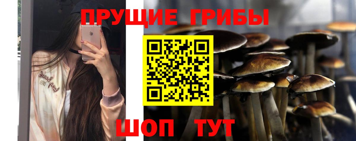 Галлюциногенные грибы Psilocybine cubensis  цены наркотик  Елец  Вход с VPN  Галлюциногенные грибы мухоморы 